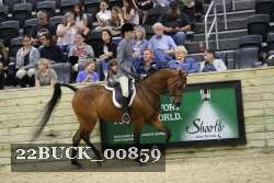 22BUCK_00859 proof