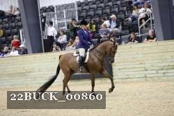 22BUCK_00860 proof