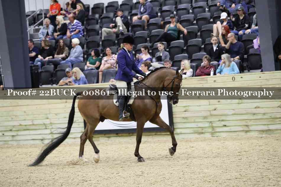 Proof 22BUCK_00861