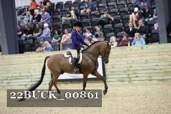22BUCK_00861 proof