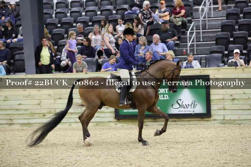 Proof 22BUCK_00862