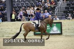 22BUCK_00862 proof
