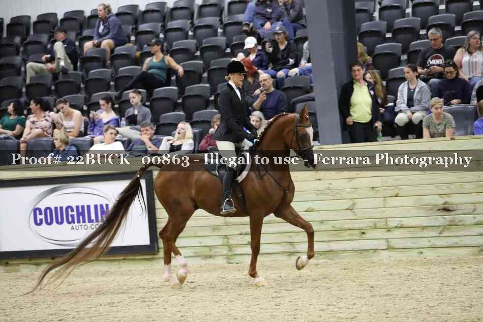 Proof 22BUCK_00863