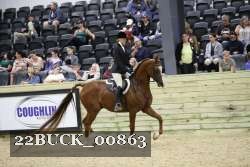 22BUCK_00863 proof