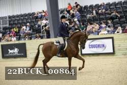 22BUCK_00864 proof