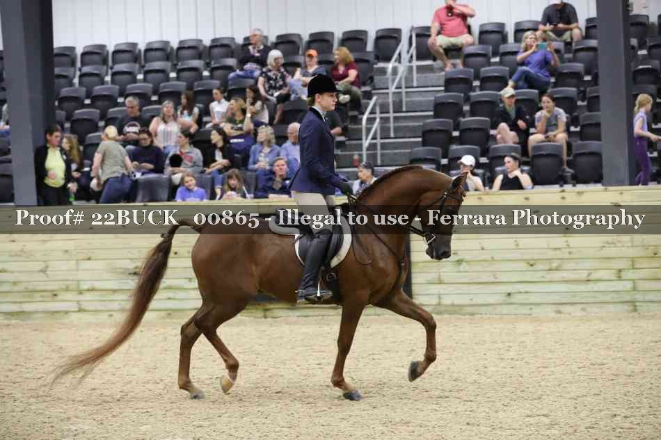 Proof 22BUCK_00865
