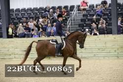 22BUCK_00865 proof