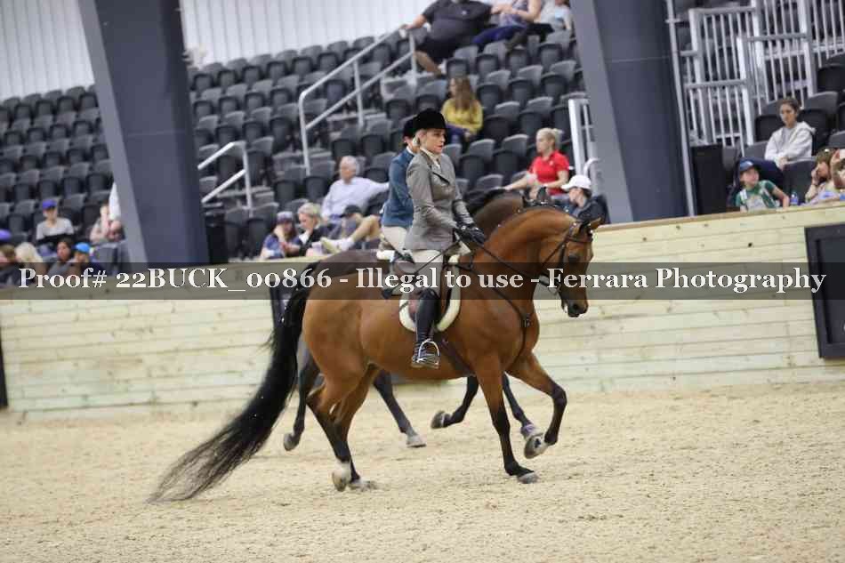 Proof 22BUCK_00866