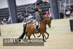 22BUCK_00866 proof