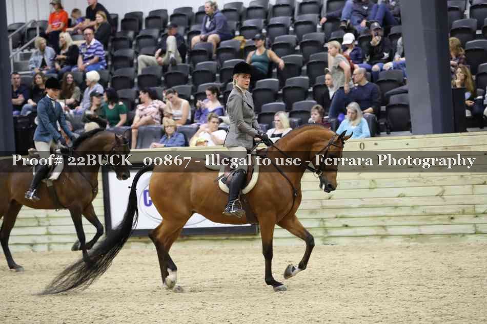 Proof 22BUCK_00867