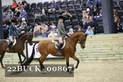 22BUCK_00867 proof