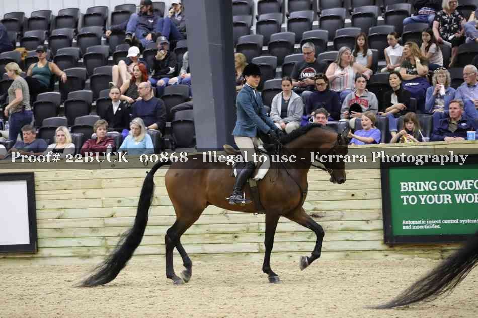 Proof 22BUCK_00868