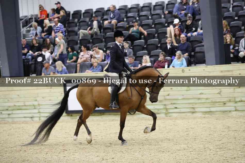 Proof 22BUCK_00869