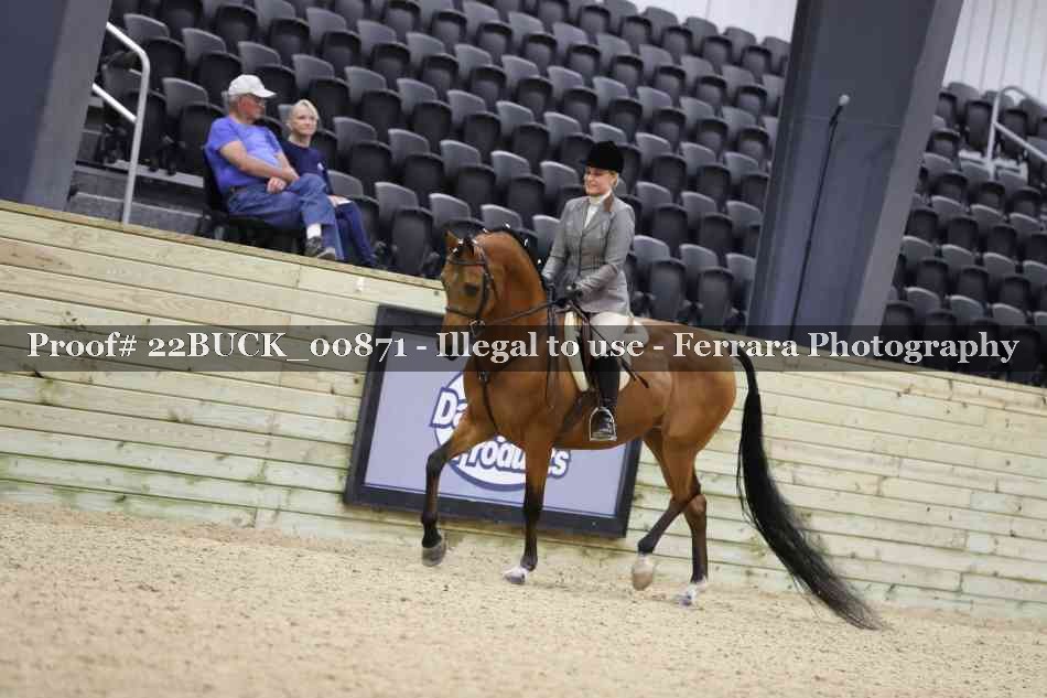 Proof 22BUCK_00871
