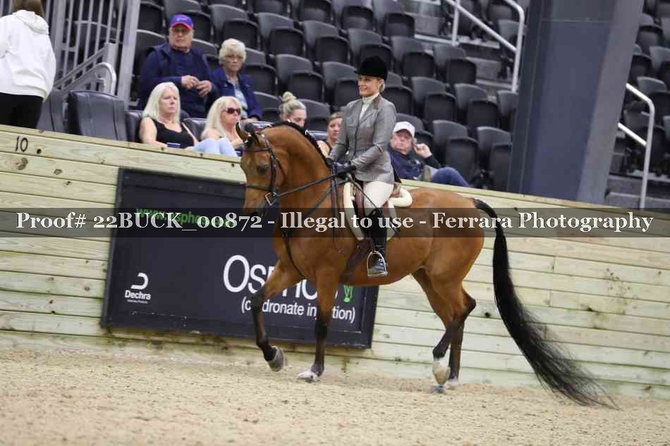 Proof 22BUCK_00872