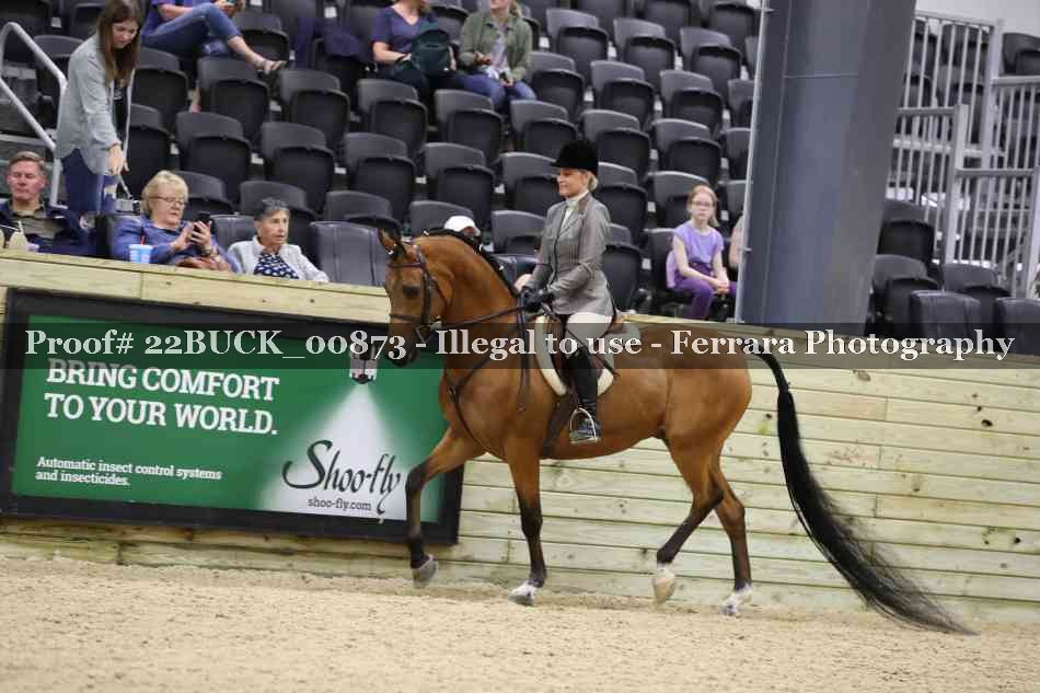Proof 22BUCK_00873