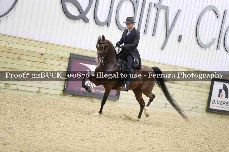 Proof 22BUCK_00876