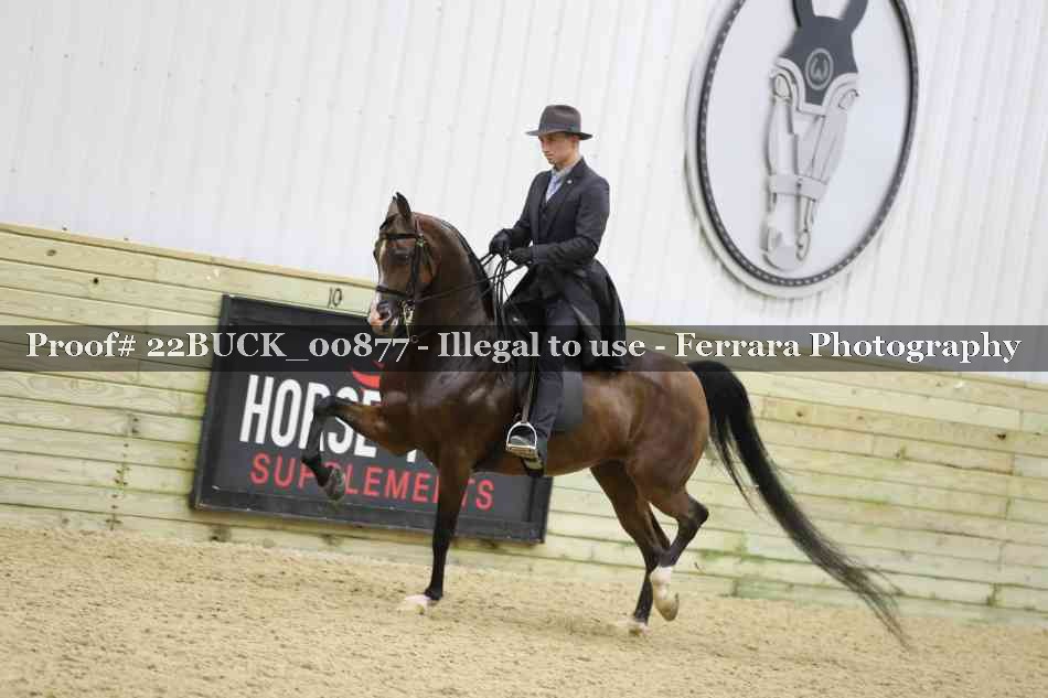 Proof 22BUCK_00877