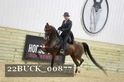 22BUCK_00877 proof