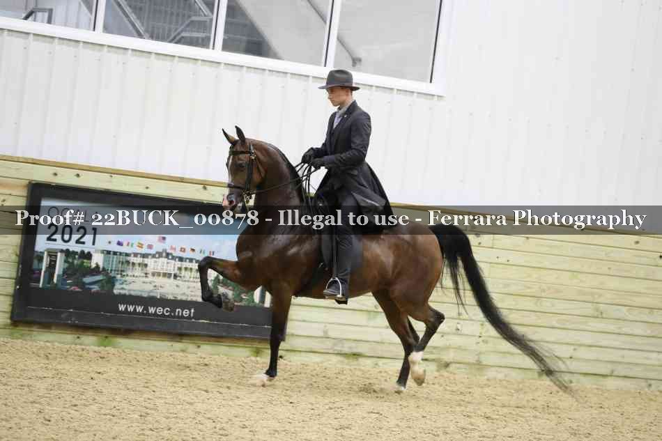Proof 22BUCK_00878