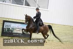 22BUCK_00878 proof