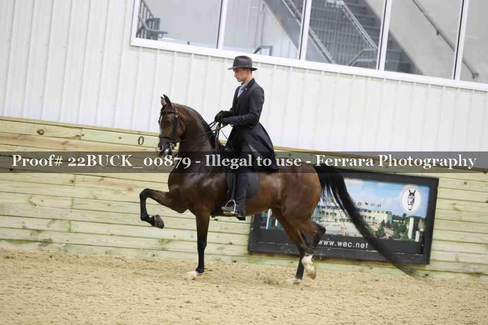 Proof 22BUCK_00879