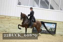 22BUCK_00879 proof