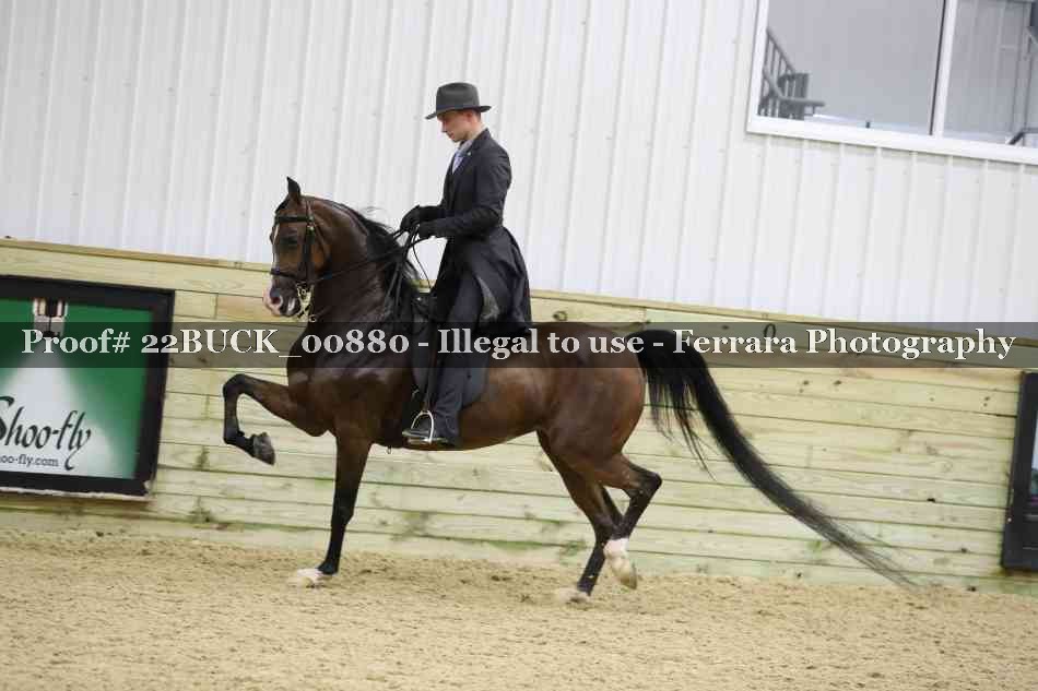 Proof 22BUCK_00880