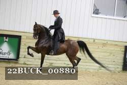 22BUCK_00880 proof