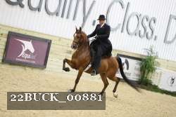 22BUCK_00881 proof