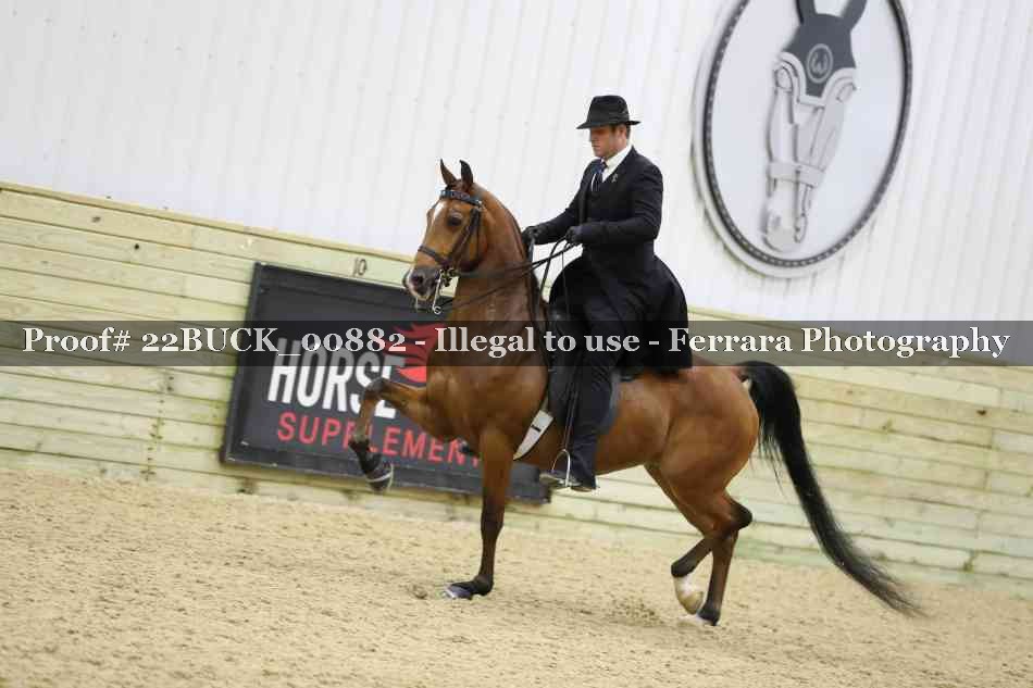 Proof 22BUCK_00882