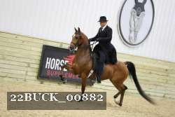 22BUCK_00882 proof