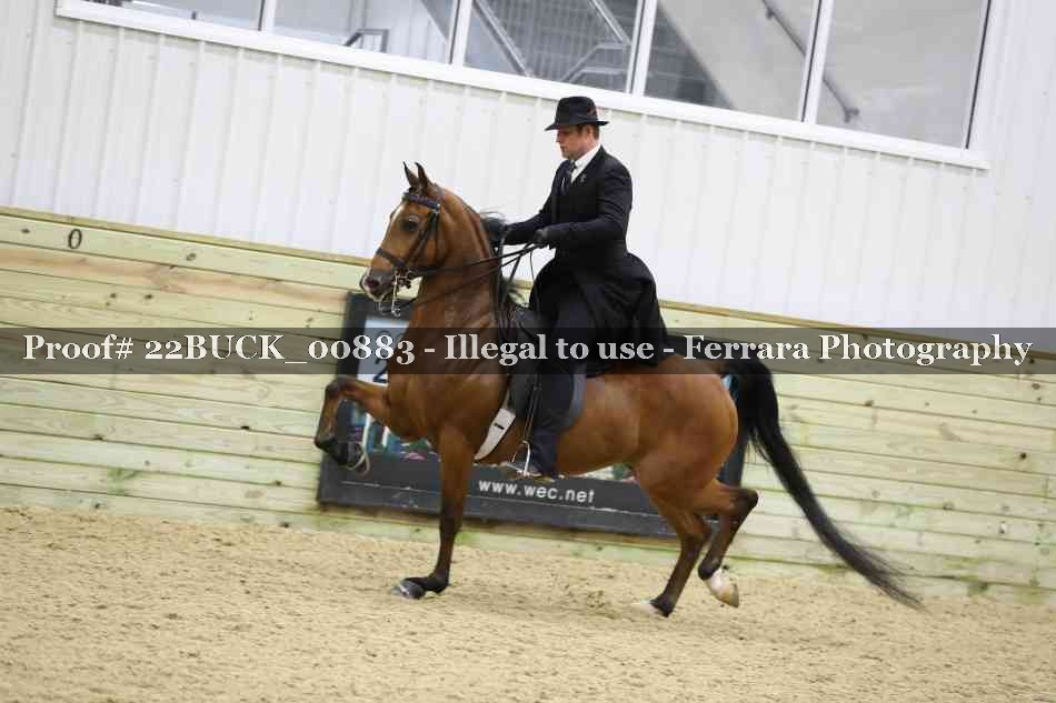 Proof 22BUCK_00883
