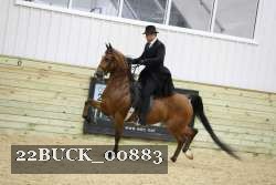 22BUCK_00883 proof
