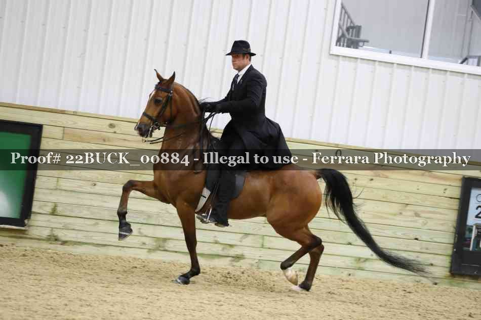 Proof 22BUCK_00884