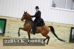 22BUCK_00884 proof
