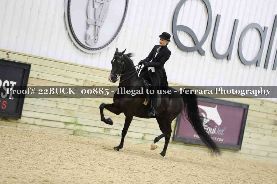 Proof 22BUCK_00885
