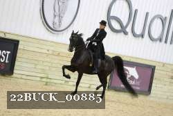 22BUCK_00885 proof