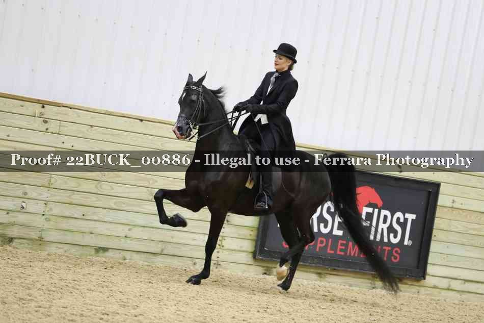 Proof 22BUCK_00886