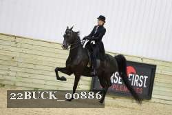 22BUCK_00886 proof
