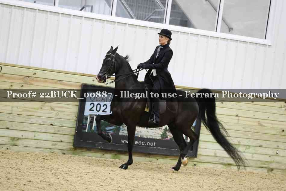 Proof 22BUCK_00887