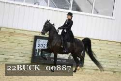 22BUCK_00887 proof