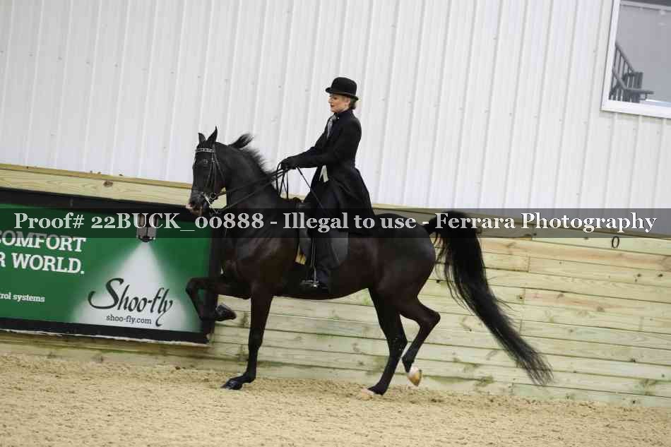 Proof 22BUCK_00888