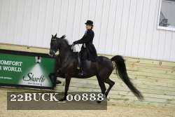 22BUCK_00888 proof
