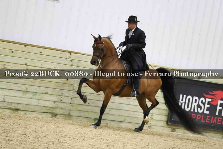 Proof 22BUCK_00889