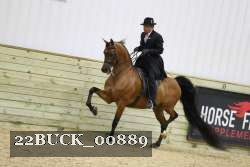 22BUCK_00889 proof