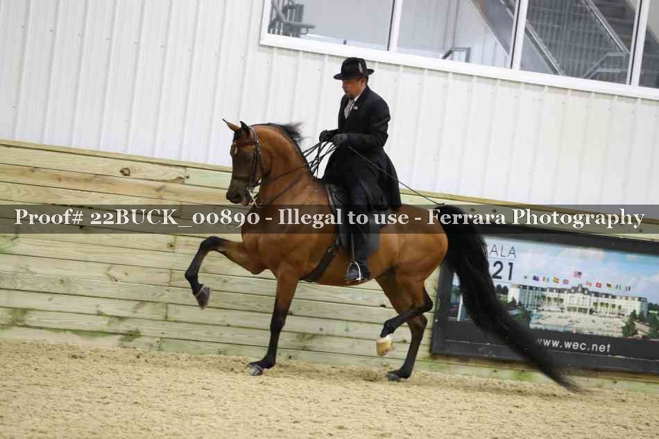 Proof 22BUCK_00890