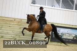 22BUCK_00890 proof
