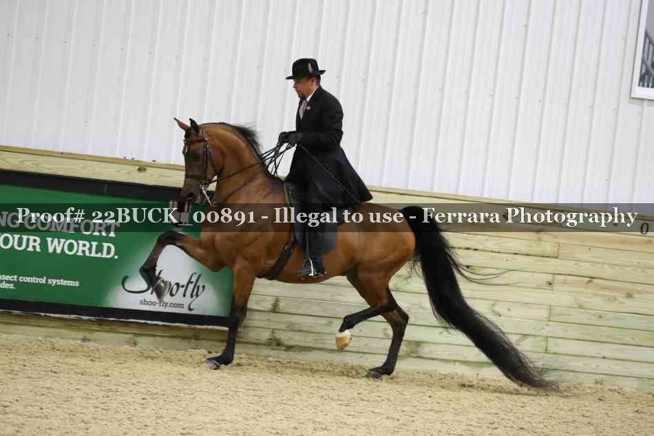 Proof 22BUCK_00891
