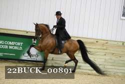 22BUCK_00891 proof